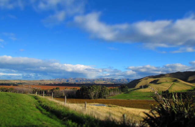 Hill Top Retreat homestay - With 270 degrees stunning Views !