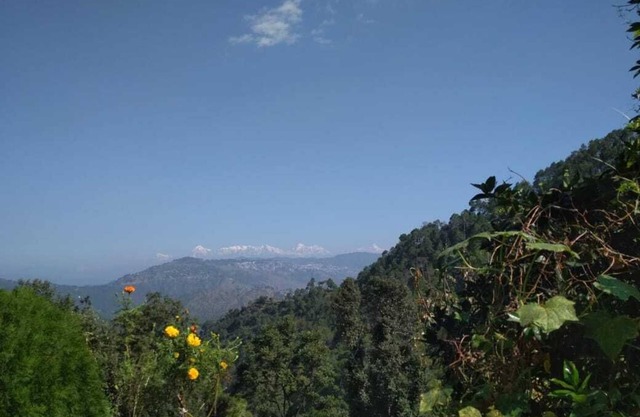 Himalayan View,Chirpy Morning