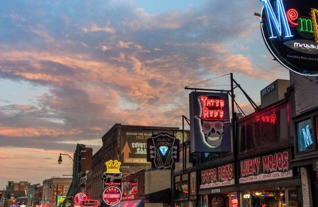 Historic Main St. Gem | Steps from Memphis Culture