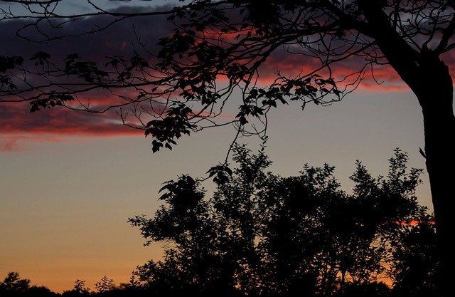 Historical romantic stay! Senator home built in1902. One booking 2 rooms!