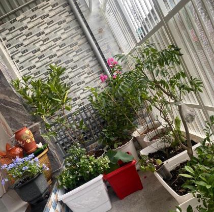 Hiwinwin Homestay Holiday