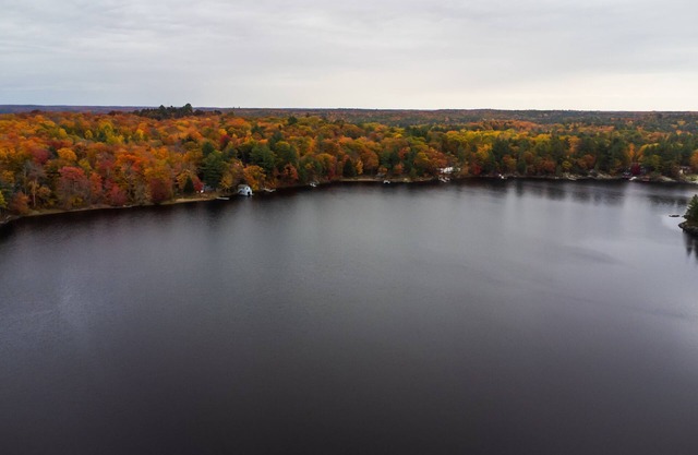 HK'S Hidden Haven! (Muskoka Lake Cottages#2)