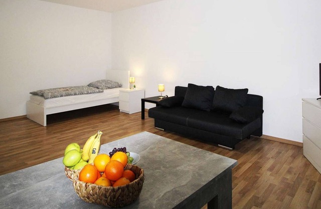 HÖ01 large apartment with dryer and washing machine