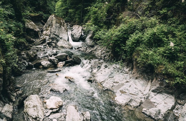 Hochkirg Lehen - Ferienhaus, Bad, WC, 4 Oder Mehr Schlafräume
