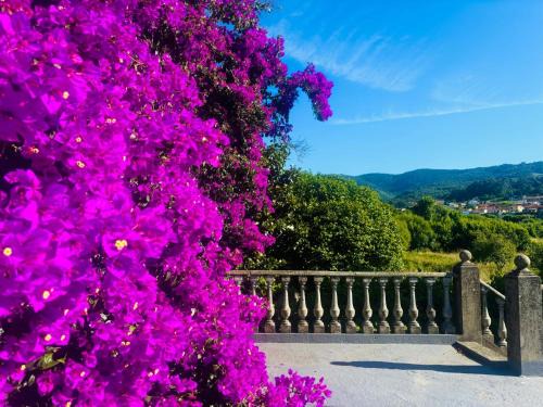 Holibai, Lúa Chea, Home Glamour