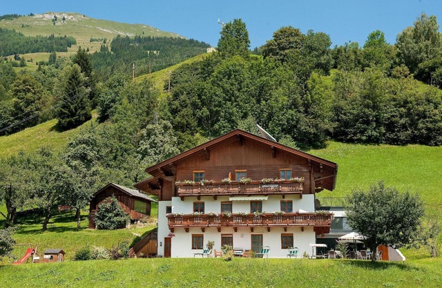 Holiday apartment Dorfgastein for 1 - 4 persons with 1 bedroom - Holiday apartment in one or multi-f