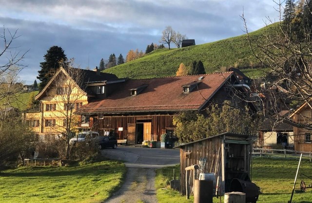 Holiday apartment Gais for 1 - 6 persons with 2 bedrooms - Farmhouse