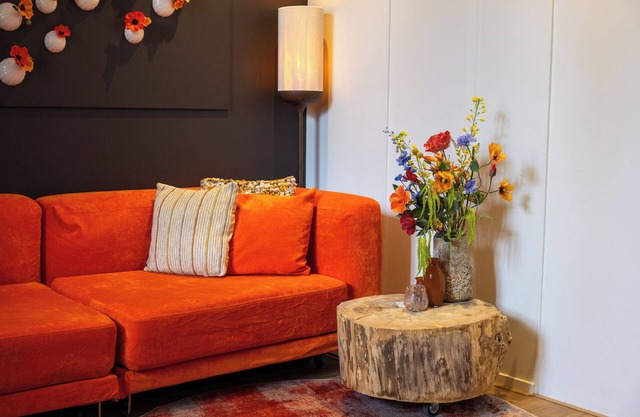 Holiday apartment in Hantum, Friesland – rural setting with a loft vibe