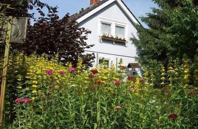 Holiday apartment Schelingen for 1 - 4 persons with 1 bedroom - Holiday apartment