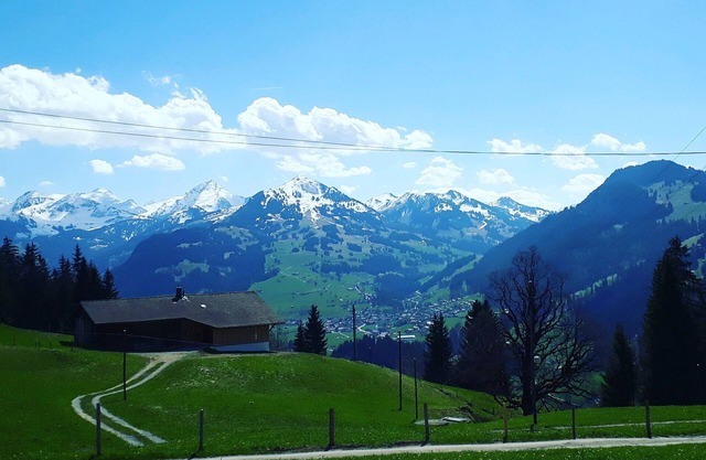Holiday apartment Zweisimmen for 1 - 6 persons with 1 bedroom - Farmhouse