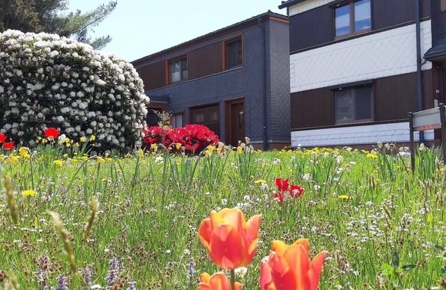 Holiday flat with garden terrace