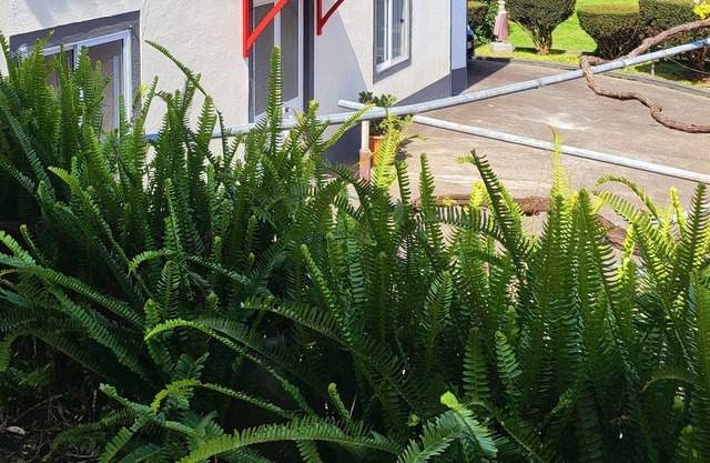 Holiday Home 'Anjos' with Sea View, Shared Terrace and Wi-Fi