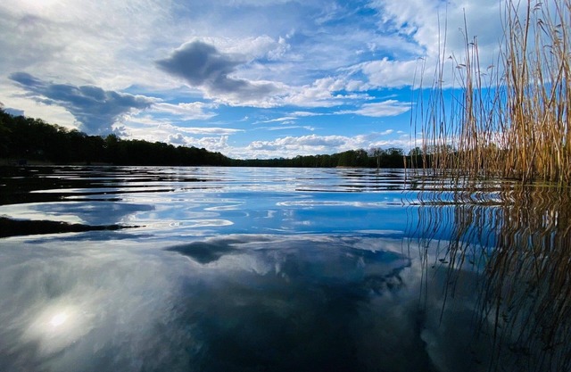 Holiday home "Bungalow Waldidyll" by the lake