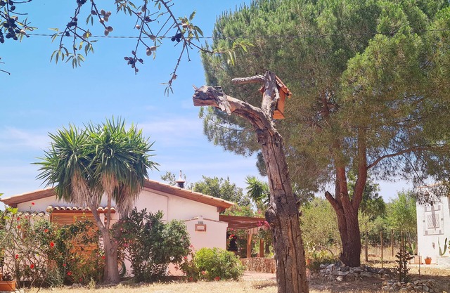 Holiday Home 'Casa Do Avô António' with Mountain View, Private Terrace and Wi-Fi