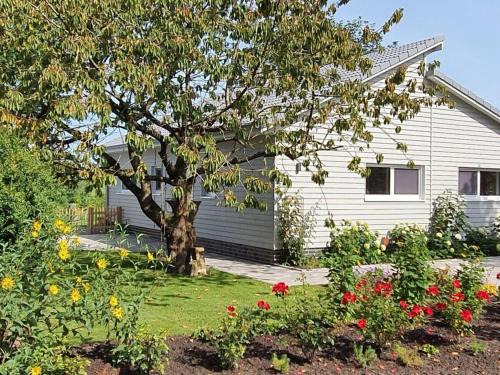 Holiday home Chalet Wilde Wiese