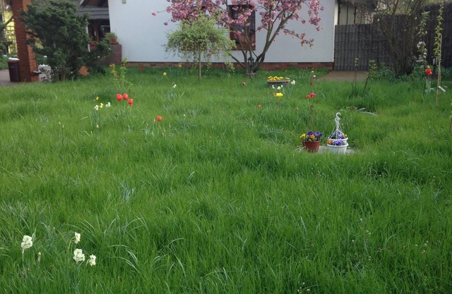 Holiday home in the Vorspreewald with its own beekeeping 6 beds