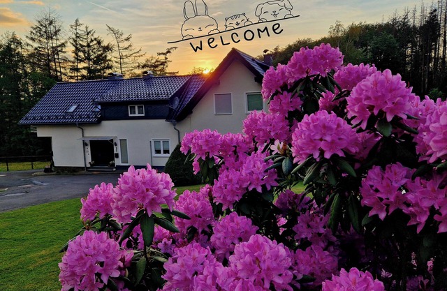 Holiday Home - Nebelseifen - Pets welcome -