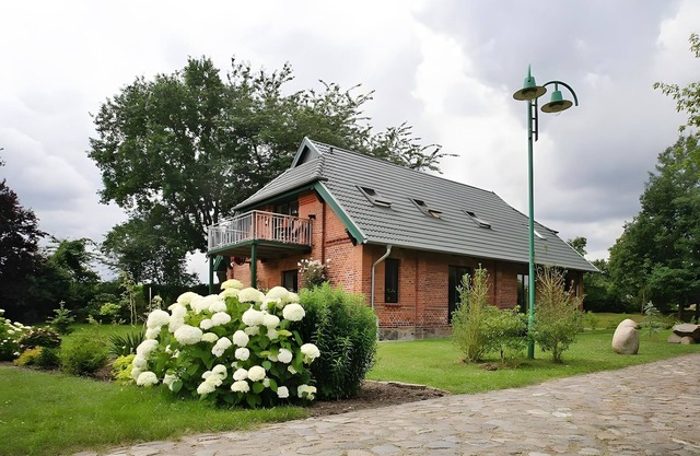 Holiday Home 'Seeadler Am Dümmer' with Lake View, Private Terrace and Wi-Fi