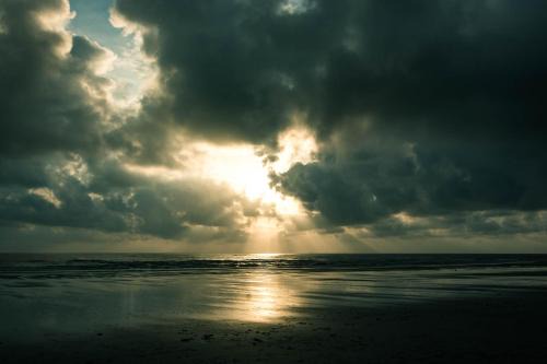 Holiday Homes At Samsuria Resort