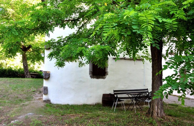 Holiday house Buzet for 1 - 3 persons with 2 bedrooms - Holiday home