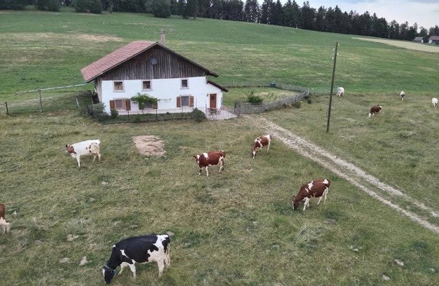 Holiday house Le Noirmont for 1 - 4 persons with 1 bedroom - Farmhouse