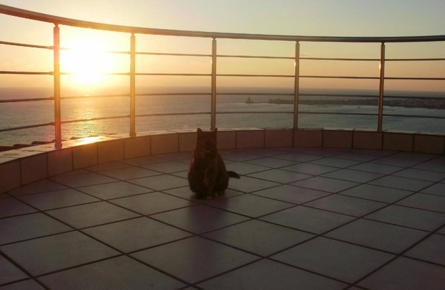 Holiday house Methoni for 1 - 9 persons with 4 bedrooms - Holiday house