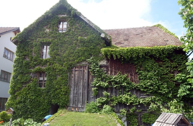 Holiday house Oberschan for 1 - 8 persons with 4 bedrooms - Farmhouse