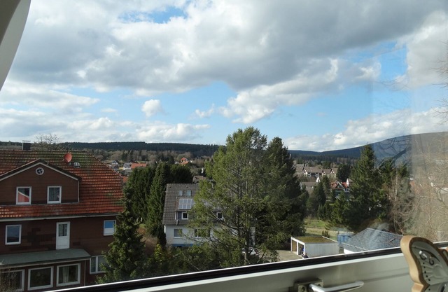 Holiday mountain goat