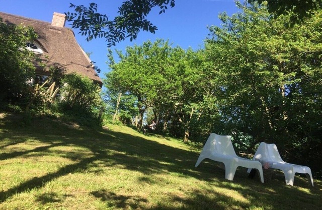 Holidays in happiness