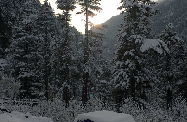 Home away from home. (Bhandari Homestay) Be a part of our Kinnauri culture.