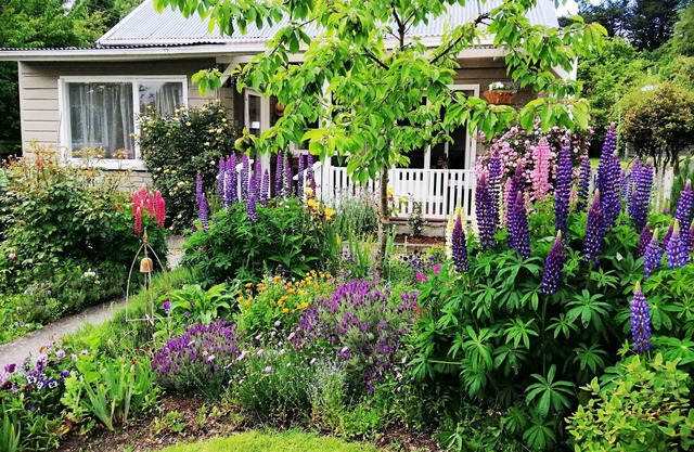 Home Away from Home.