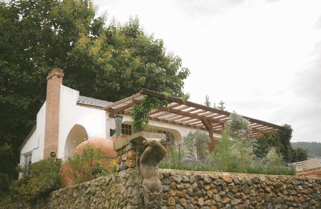 Home Tower tree เชียงใหม่