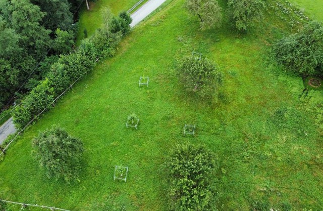 Homecamping Rothenthurm