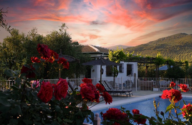 homely cosy rural house