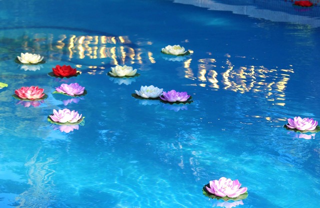 Homerez - Comfortable Apartment in Elche