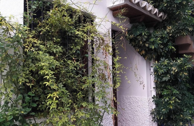 Homerez - Large house in Quesada