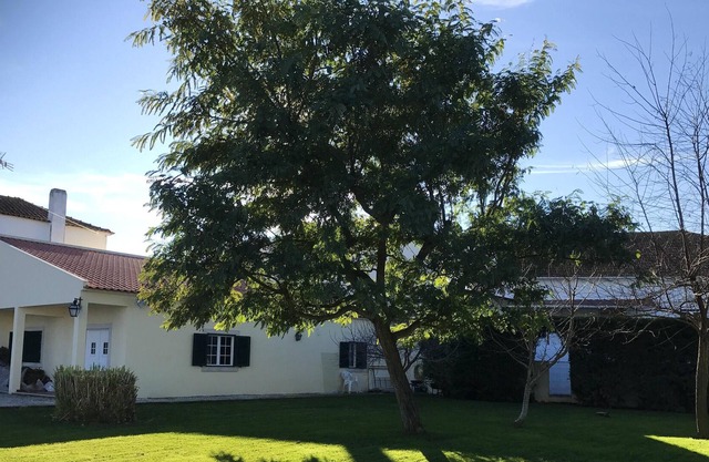 Homerez - Nice house for 4 ppl. with shared pool and garden at Alcanhões