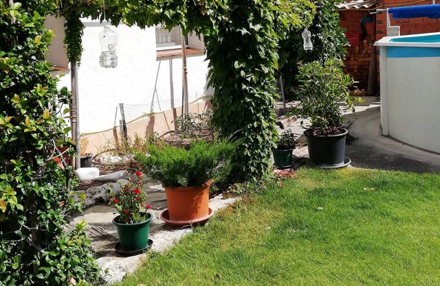 Homerez - Nice house for 7 ppl. with swimming-pool, garden and terrace at Chatún