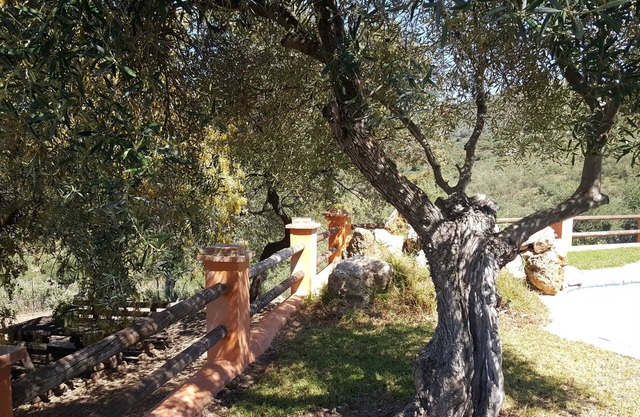 Homerez - Villa Puerto Serrano