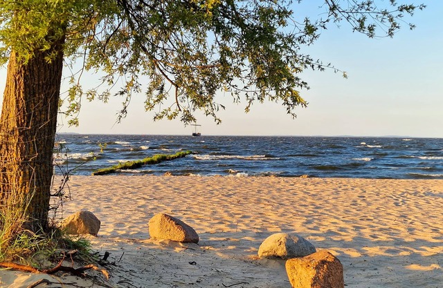Hotel Am Markt & Brauhaus Stadtkrug
