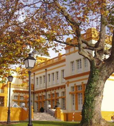 Hotel Arcea Palacio de las Nieves