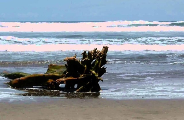 HOTEL DEL BALSAS LAZARO CARDENAS