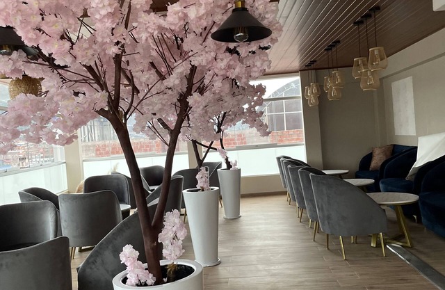 HOTEL EL ALAMO EJECUTIVO & SPA