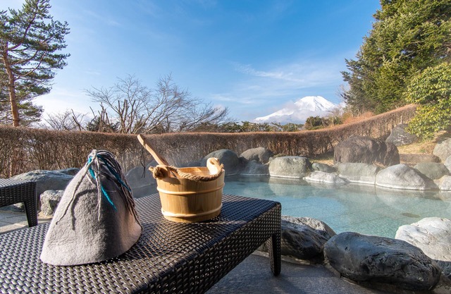 Hotel Mt. Fuji