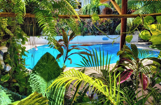 Hotel & Suites Oasis Bacalar