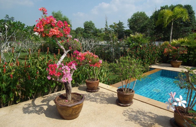 House and pool facing the ocean, golf 2 km away, breakfast and cleaning included