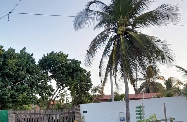 House facing the sea, right on the sand