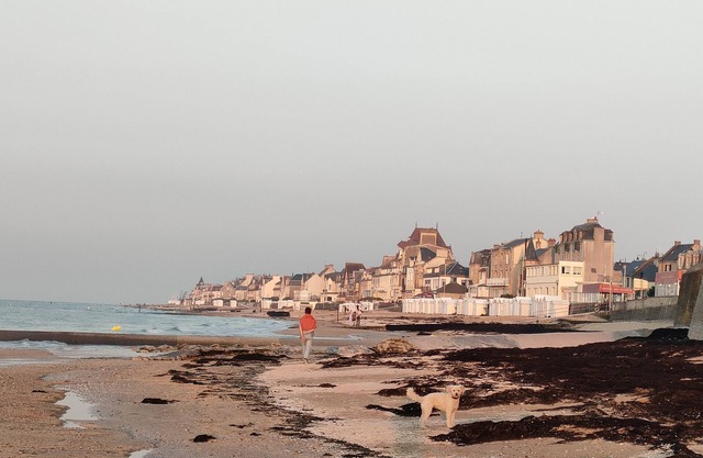 House for 12 to 18 people close to the sea