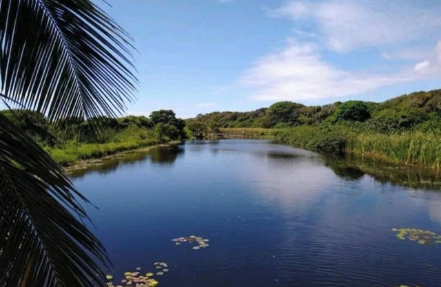 House just a few meters from the sea in a super private condominium surrounded by nature.