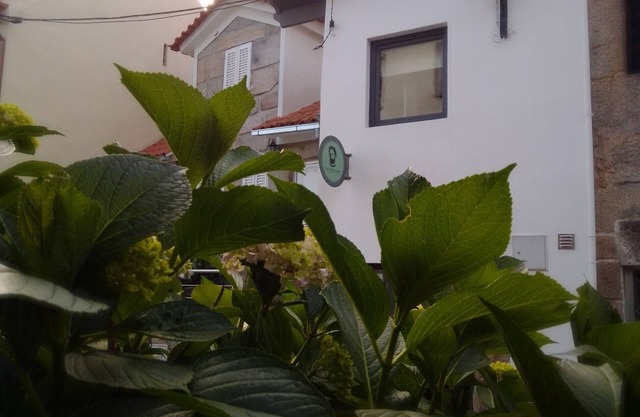 House Luís de Camões | Bed & Breakfast